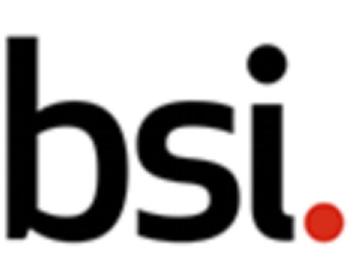 British Standards Institution (BSI)