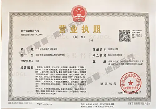 One Hundred Points-Business License-Copy (1)-Vice.jpg